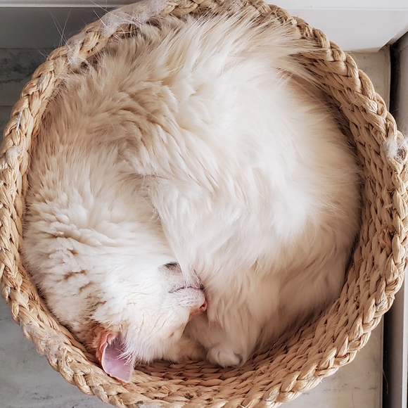 Meet your Posher, V - Picture 3 of 5